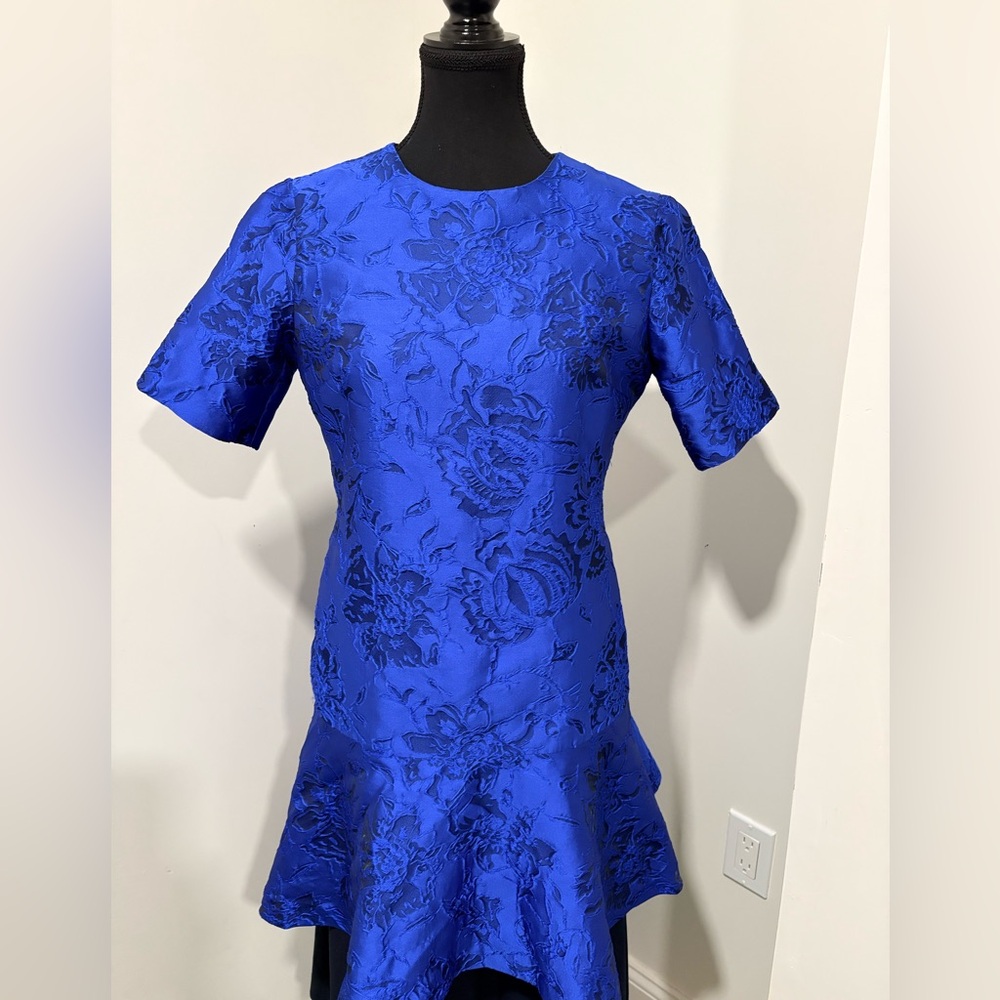 Alice and Olivia Elegant Blue Floral Dress size 6